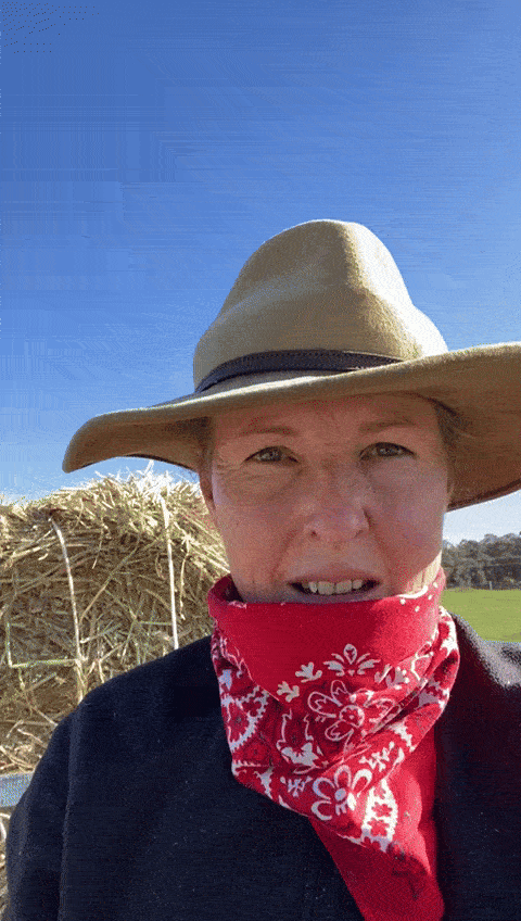 Farmer Sandy